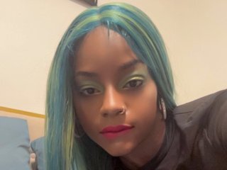 SinSavvy's Webcam Screen Cap